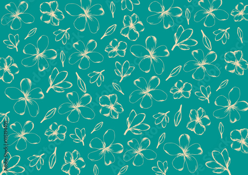 Plumeria flowers pattern