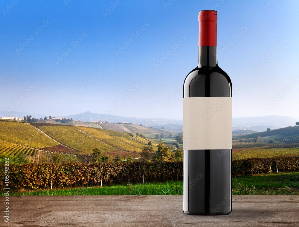 Wine bottle on vineyards