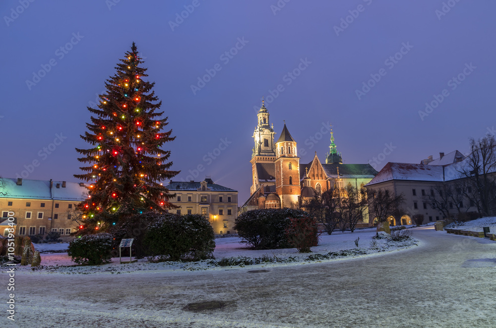 Winterview of the cathedral of St Stanislaw and St Vaclav and Christmas tree on the Wawel Hill, Krakow, Poland.