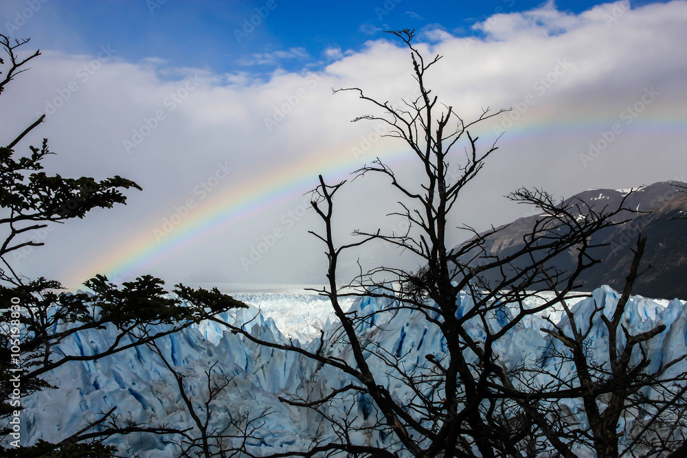Glacier and rainbow over it. Black trees in front. Patagonia in Argentina.