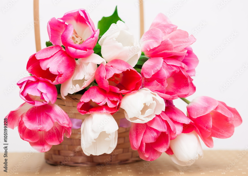 Fototapeta premium Flowers, pink and white tulips in the basket, white isolated