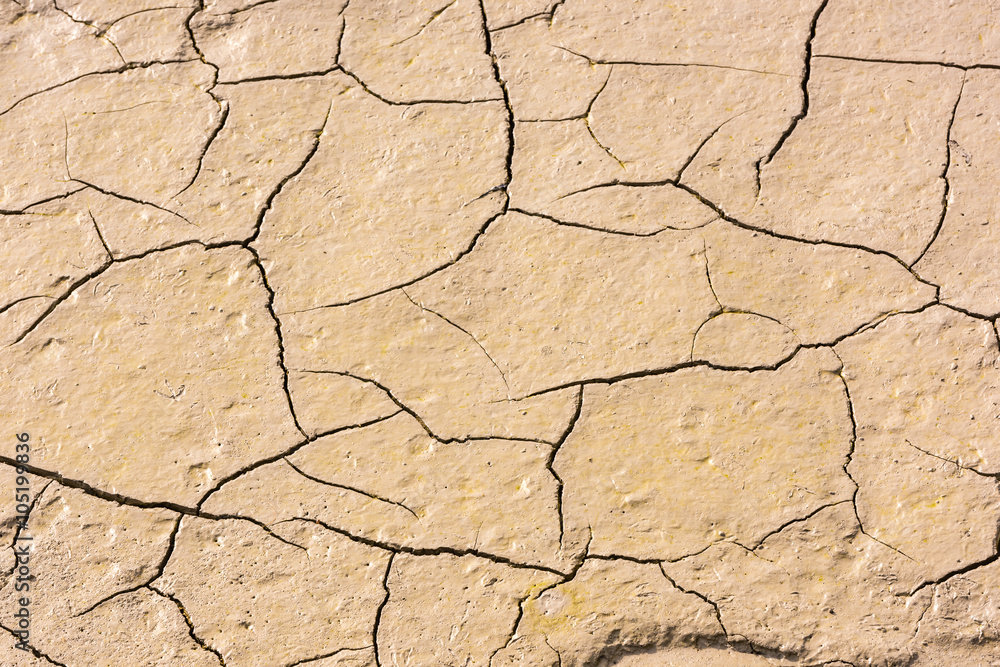 details of a dried cracked seabed details of a dried cracked seabed