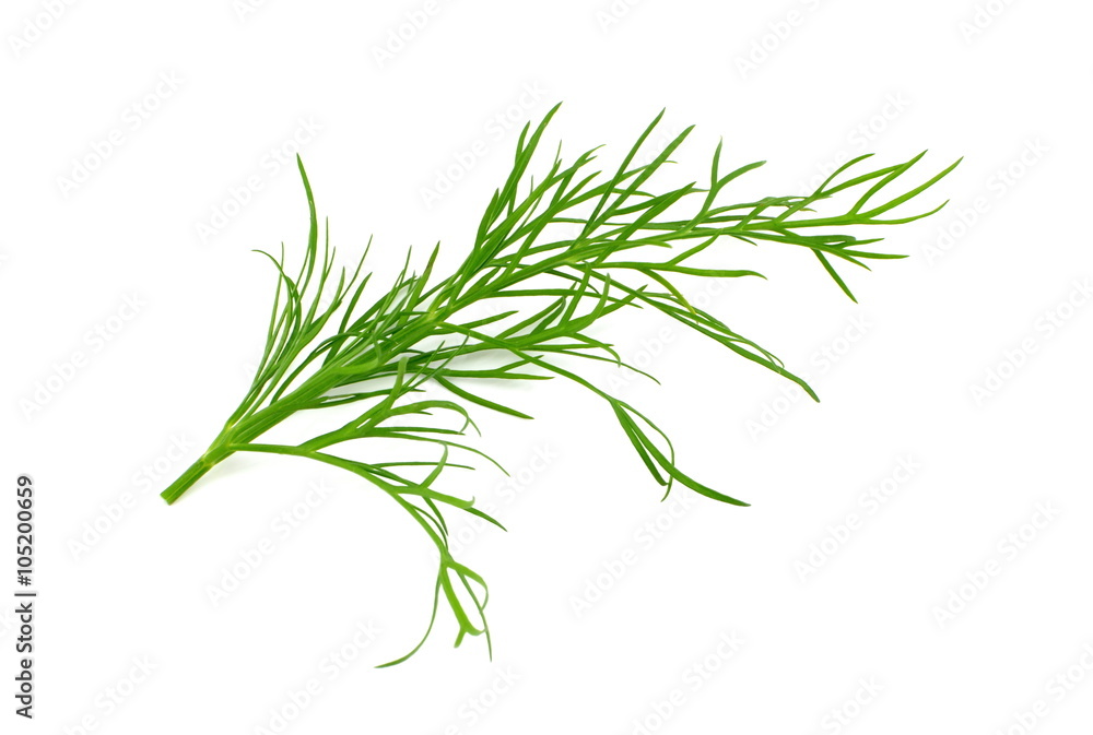 Fototapeta premium koper