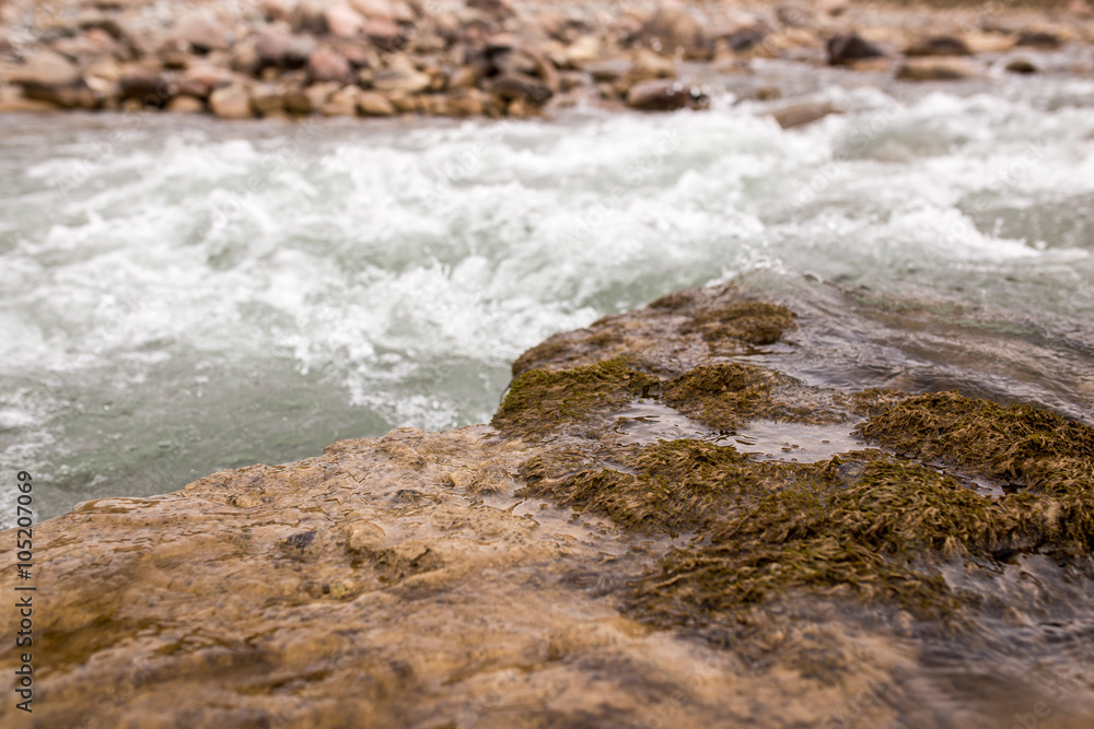 Fototapeta premium mountain river in Kazakhstan in nature