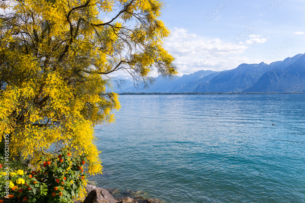 Naklejka premium Mountains and lake Geneva