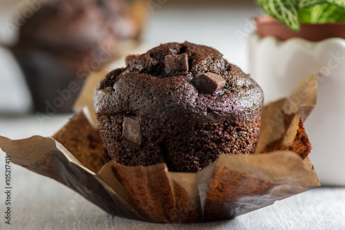 Chocolate muffins with icing and chocolate pieces.