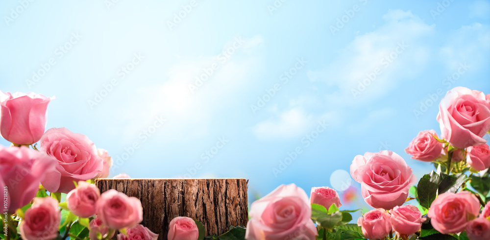 Obraz premium Różowa róża z nieba