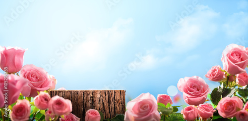Fototapeta Naklejka Na Ścianę i Meble -  Pink rose against sky