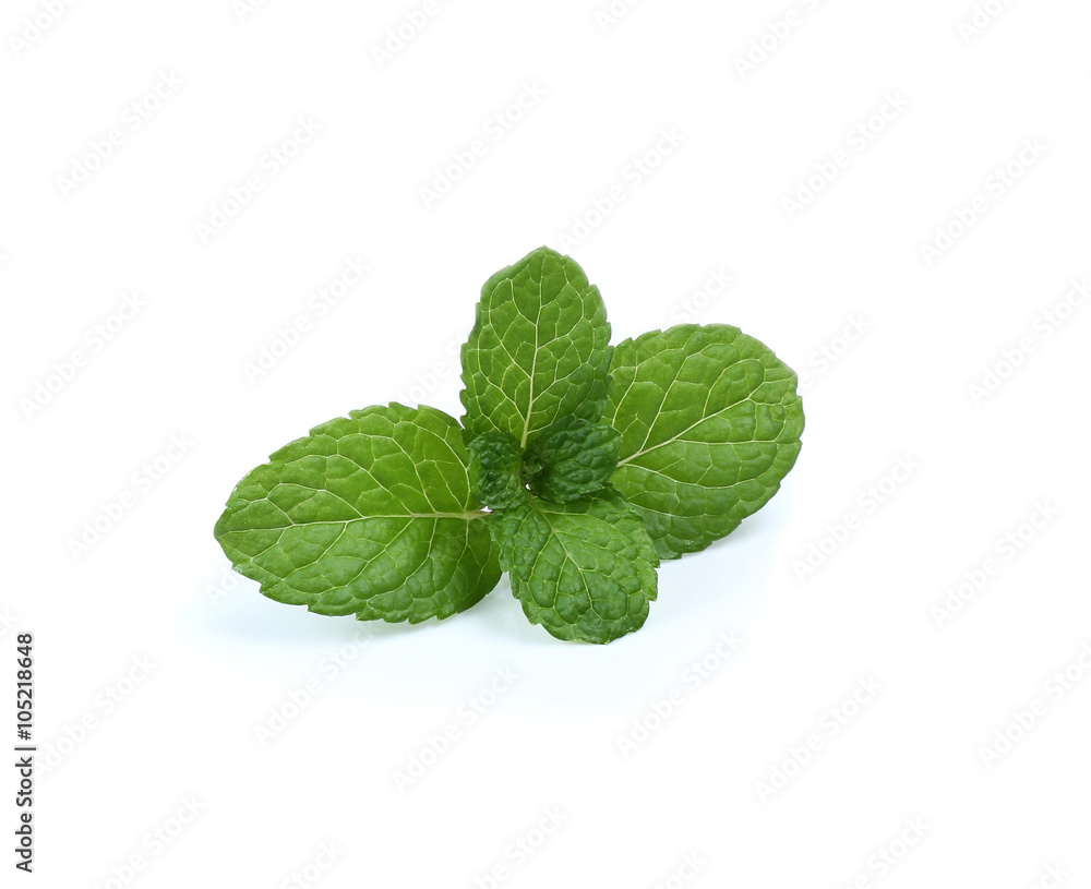 Fresh raw mint leaves isolated on white background Fresh raw mint leaves isolated on white background