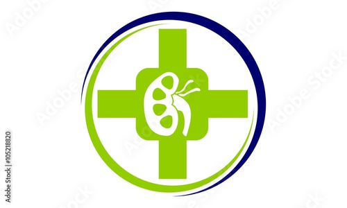 Kidney Cancer Health Support