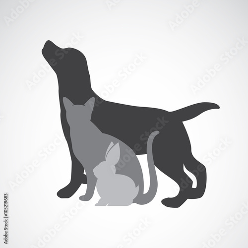 Vector group of pets - Dog, cat, rabbit, isolated on white backg