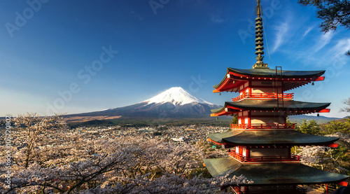 Beautiful panorama view of Mountain Fuji with cherry blossom in spring, Chureito Pagoda  Fujiyoshida, Japan