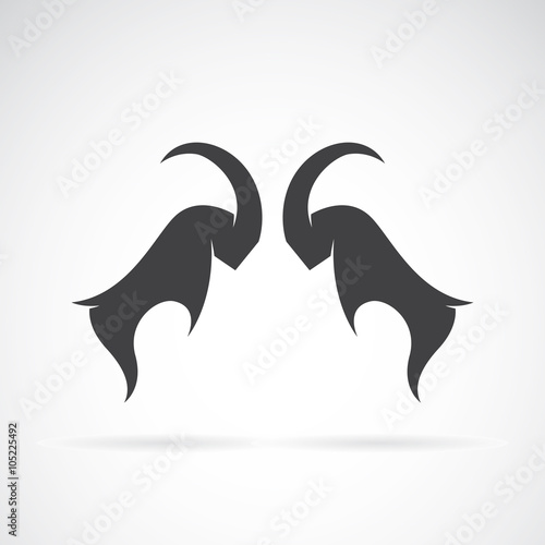 Vector image of an Sheep rams fighting on white background