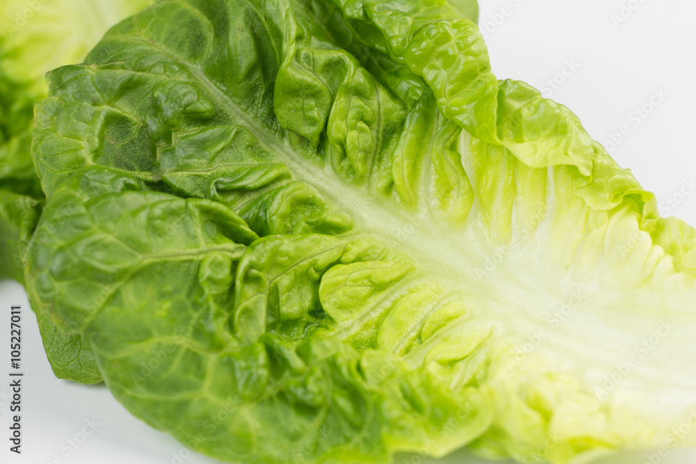 Fresh lettuce leaves Fresh lettuce leaves
