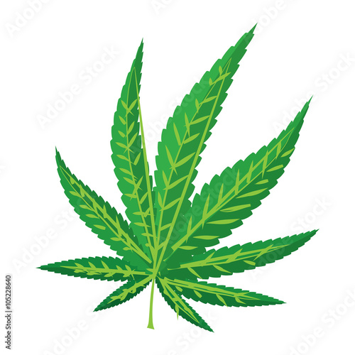 Marijuana leaf icon, cartoon style 