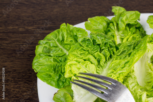 Fresh lettuce leaves