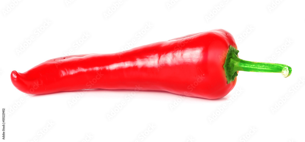 red hot chili pepper on white background