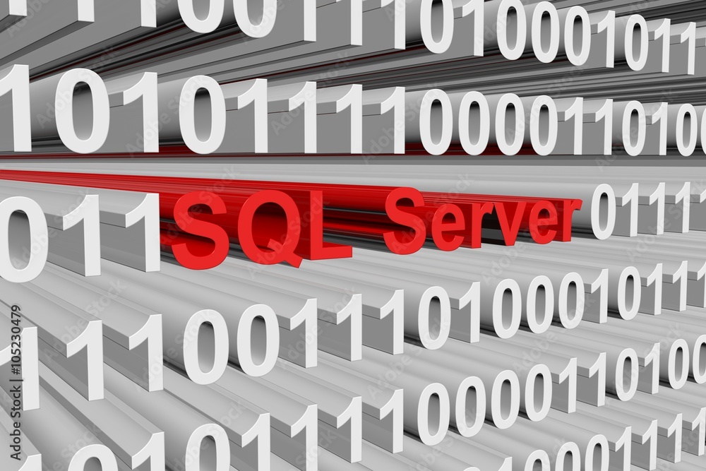 SQL Server is presented in the form of binary code