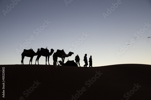 silhouette of camels and camel drivers in the desert of Merzouga at sunset