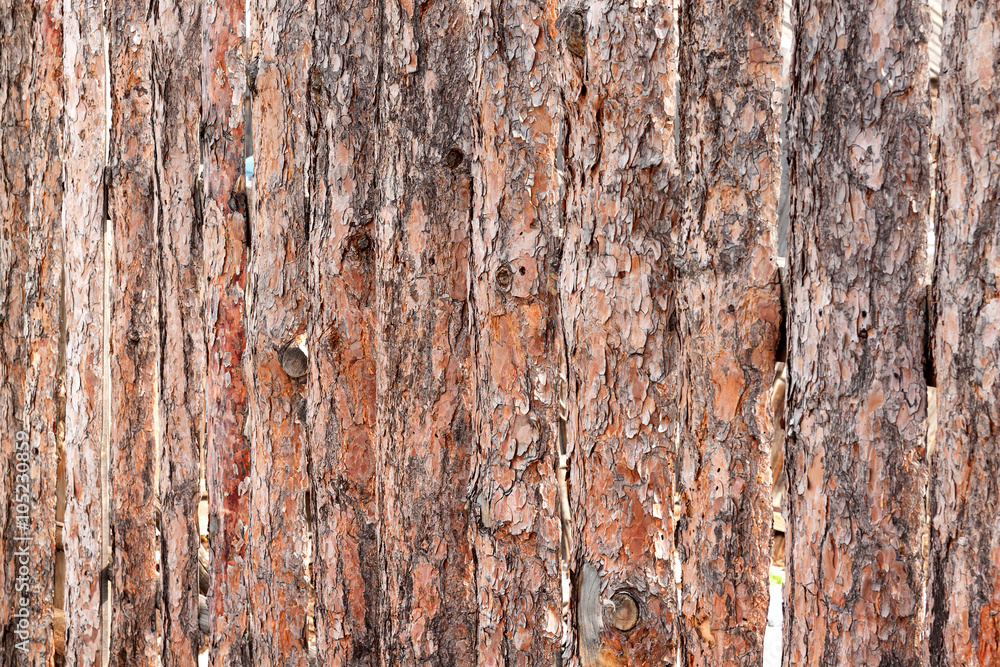 Tree bark texture wallpaper Tree bark texture wallpaper