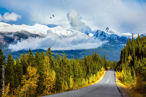 Fototapeta samoprzylepna . Kanadyjskie góry skaliste w piękny dzień
