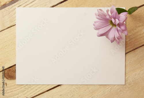 White card with place for text, with chrysanthemum, on wood