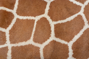 Leinwandbilder Giraffe Giraffenfell Muster Textur Hintergrund  © David Carillet