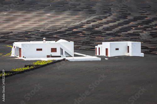 Obraz na płótnie wine farm in la geria lanzarote w salonie
