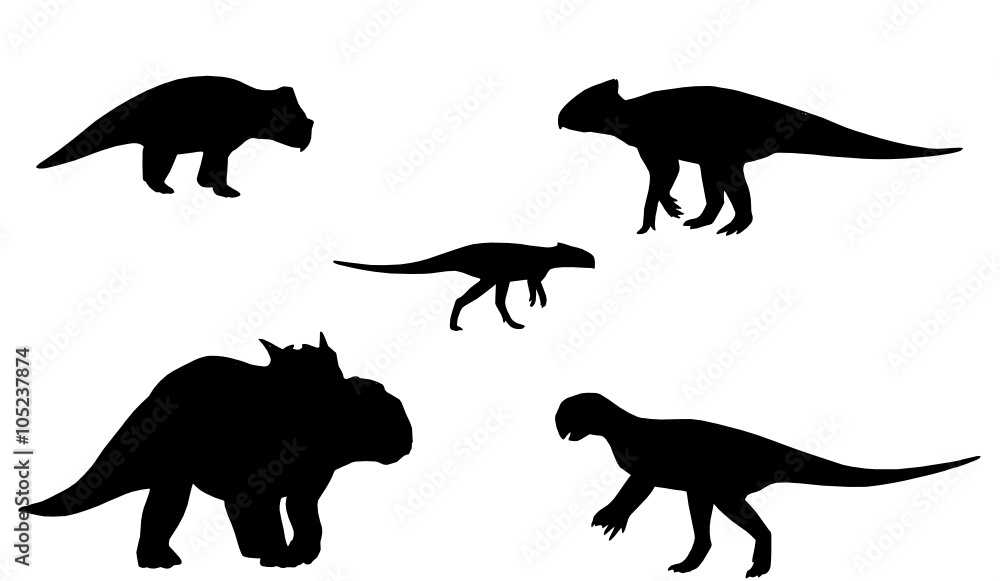 five dinosaurs 
