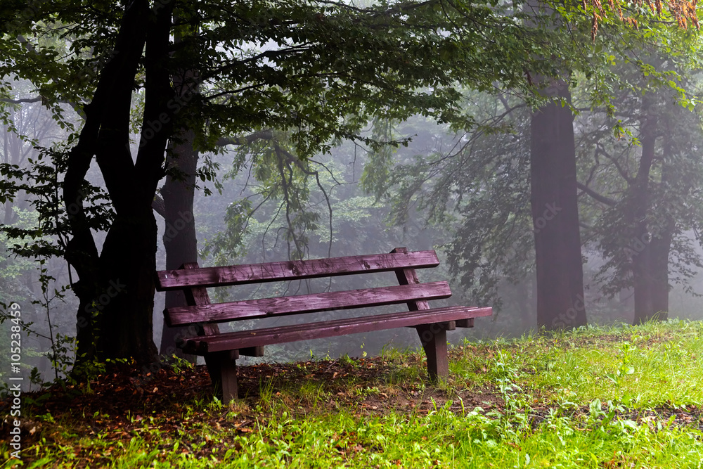 Bench in the park Bench in the park