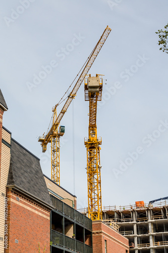 Yellow Cranes Over New Construction