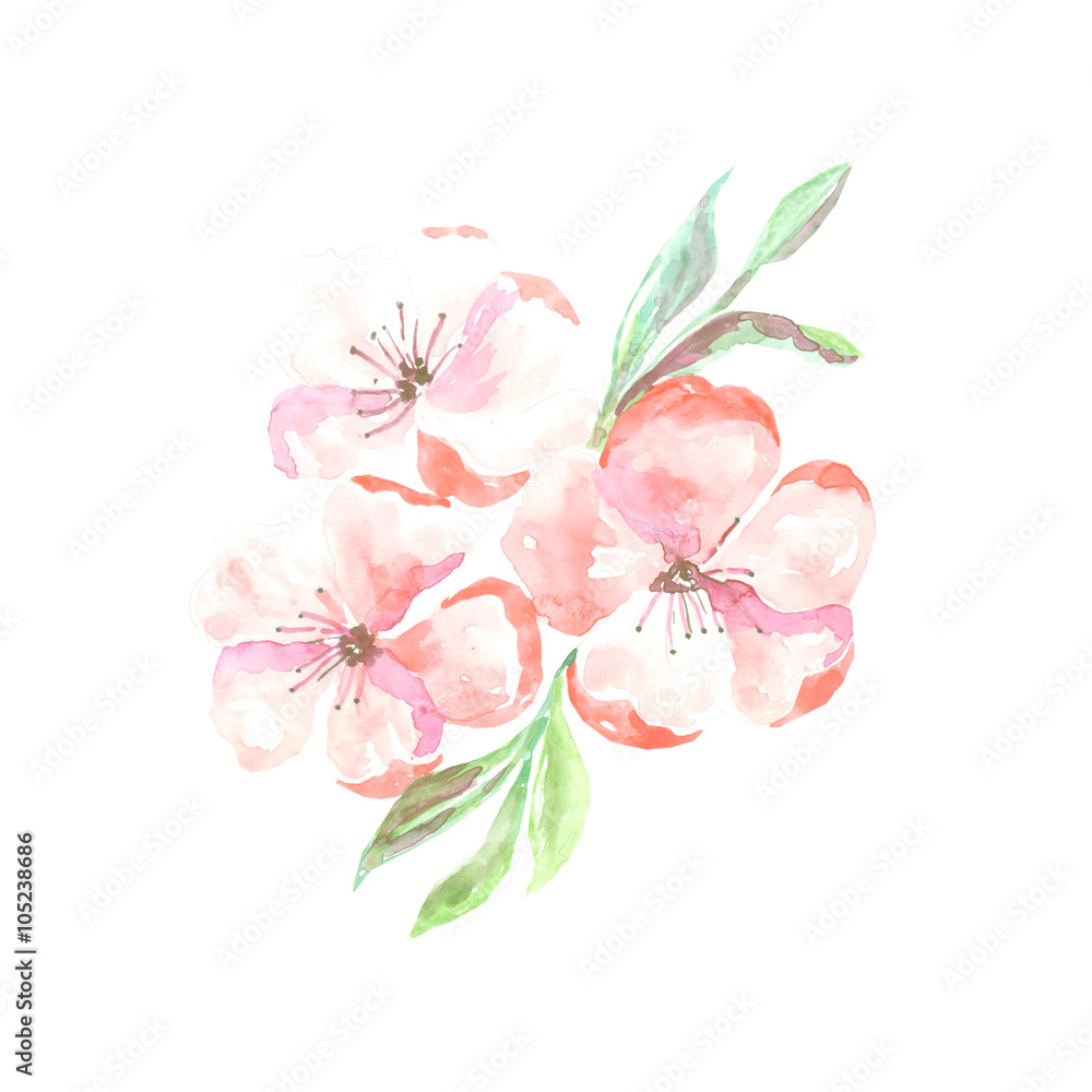 Fototapeta premium Apple blossom