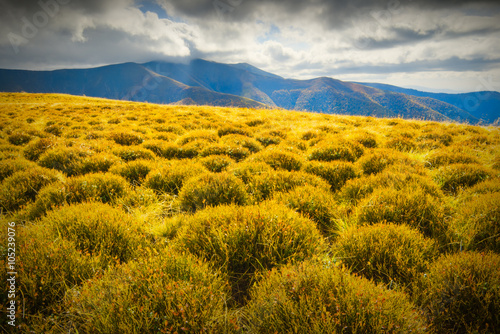 Carpathian hills_1