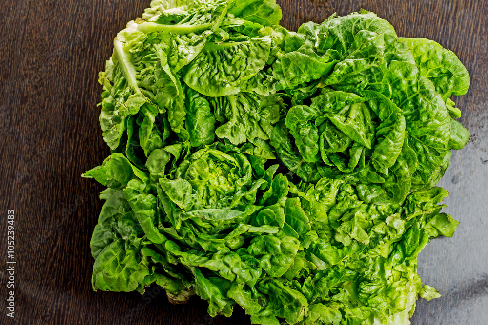 Fresh lettuce leaves Fresh lettuce leaves