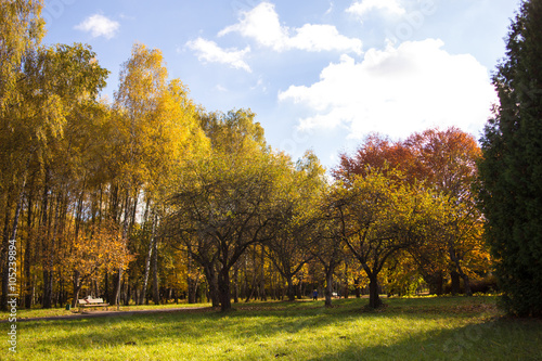 Autumn Landscape. Park in Autumn.