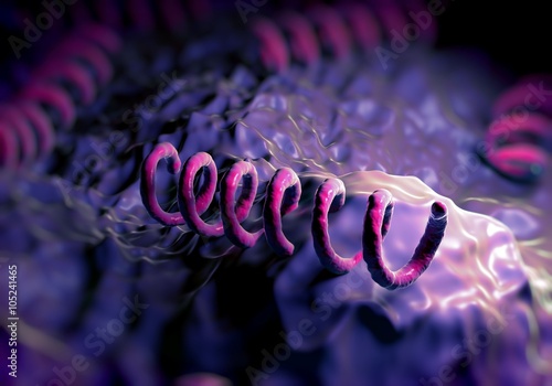 Konstfotografi Treponema pallidum bacteria