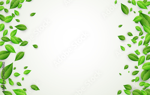 Background with green leaves.