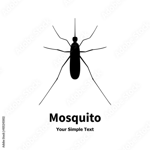 Mosquito
