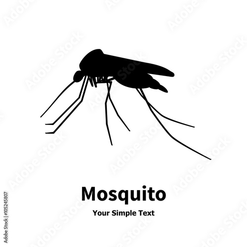 Mosquito