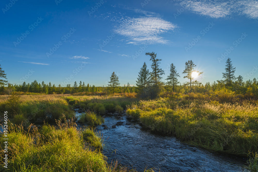 Summer day landscape with river, forest, clouds on the blue sky and sun Summer day landscape with river, forest, clouds on the blue sky and sun