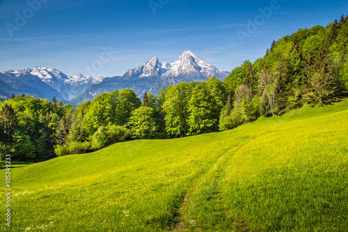 Watzmann mountain with green meadows and trees in springtime, Bavaria, Germany