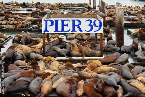 Photography The well-known Pier 39 in San Francisco