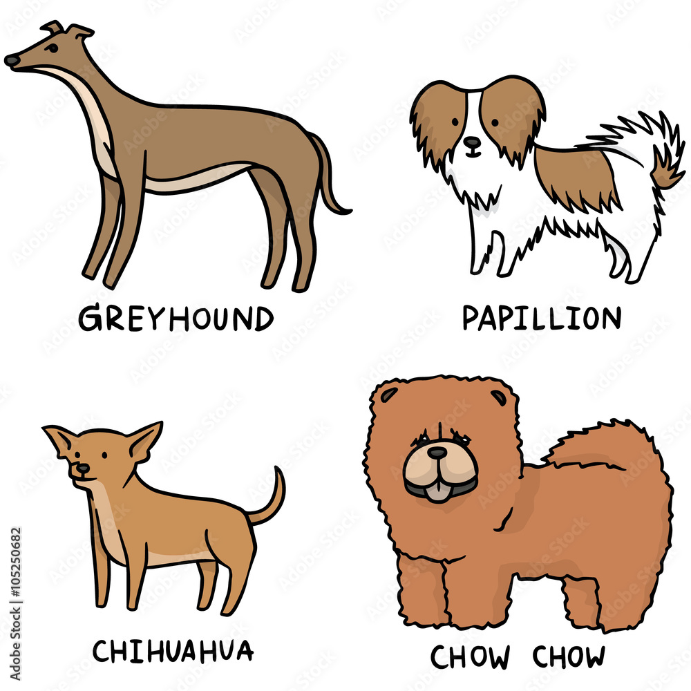 vector set of dogs vector set of dogs