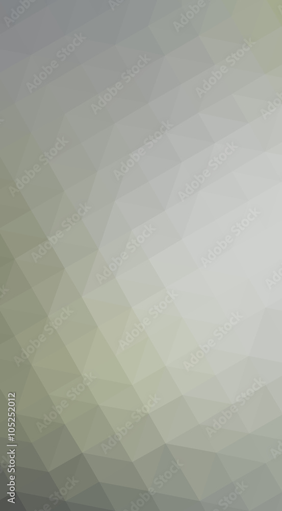 Obraz premium Gray polygonal design illustration, which consist of triangles a
