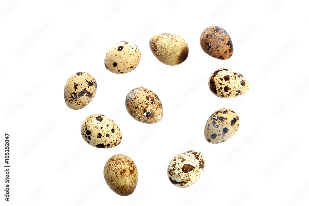 Quail eggs isolated on white Quail eggs isolated on white