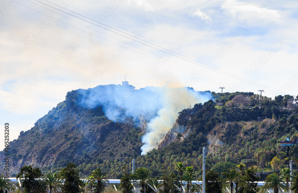 Fototapeta premium Barcelona. View of the Montjuic hill on fire on February 13th, 2016. Montjuic is one of the most important sights of Barcelona. 