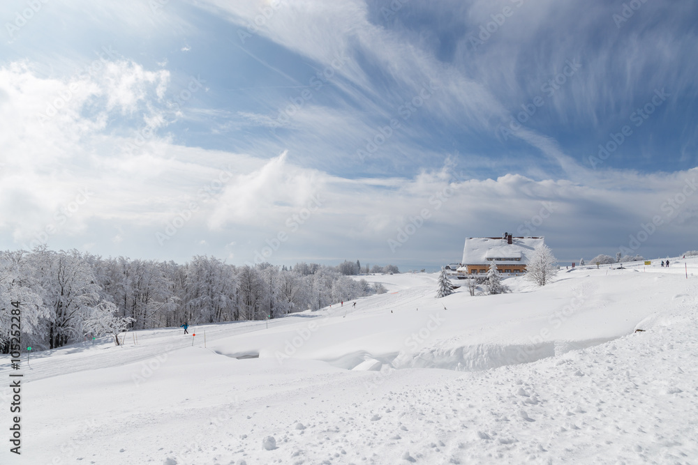 paysage hivernal des Vosges