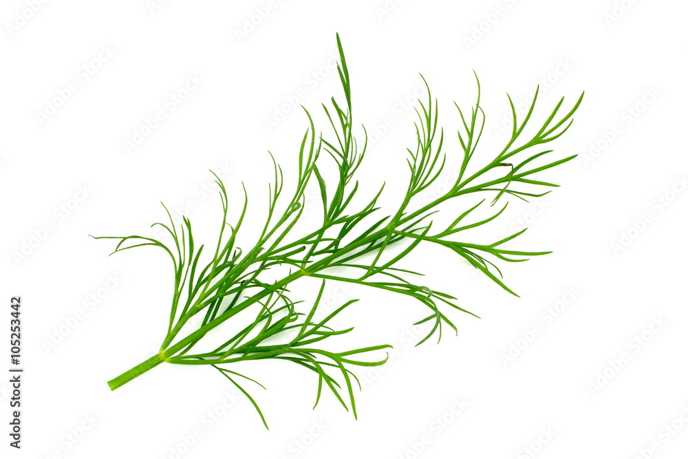 Fototapeta premium koper