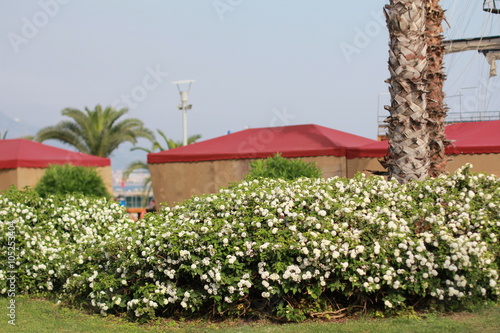 red barn with flowers
