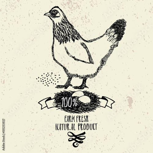 Chicken Farm Fresh Natural product